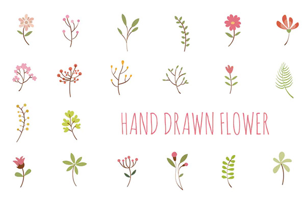 Flower Hand Drawn