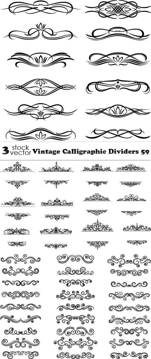 Vectors - Vintage Calligraphic Dividers 59