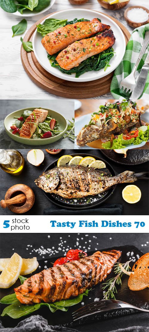 Photos - Tasty Fish Dishes 70