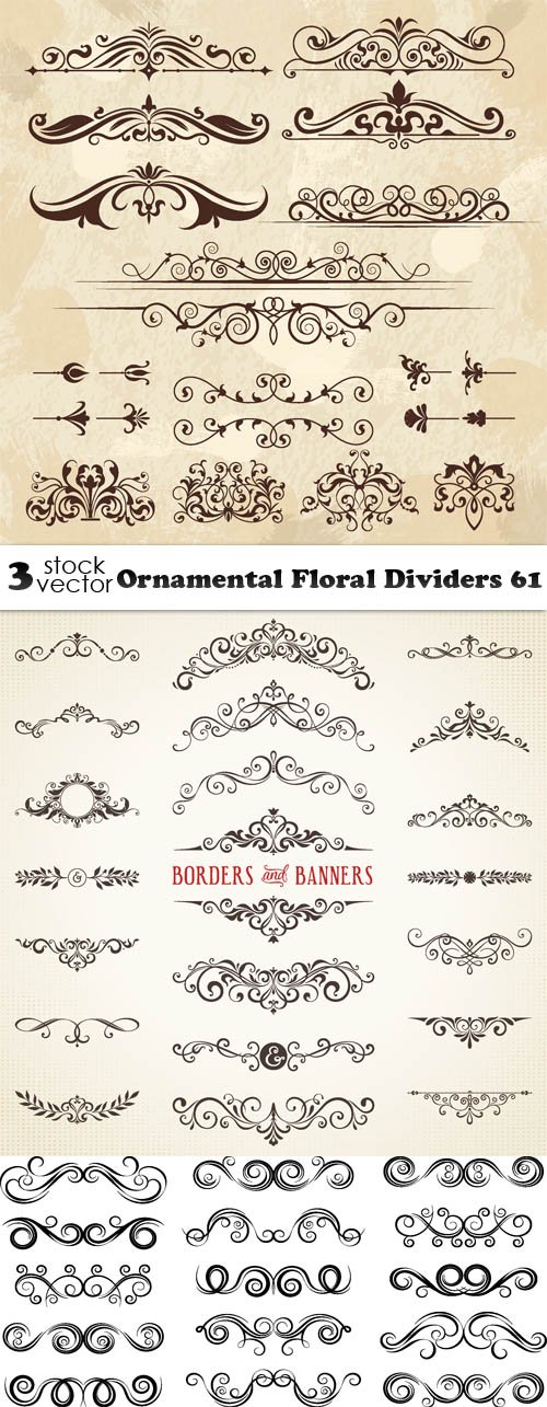 Vectors - Ornamental Floral Dividers 61