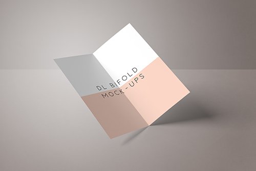 DL Bifold Mockup