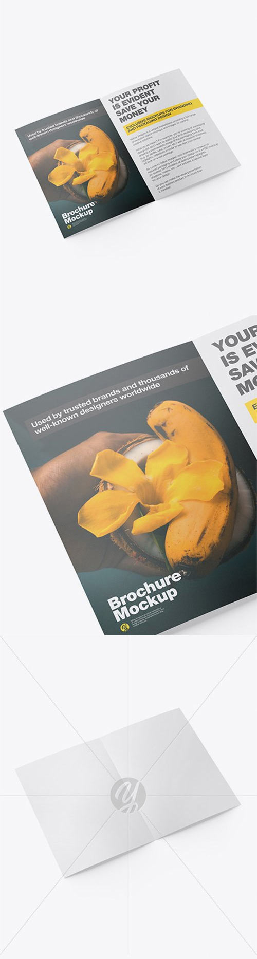 Glossy Brochure Mockup 52265