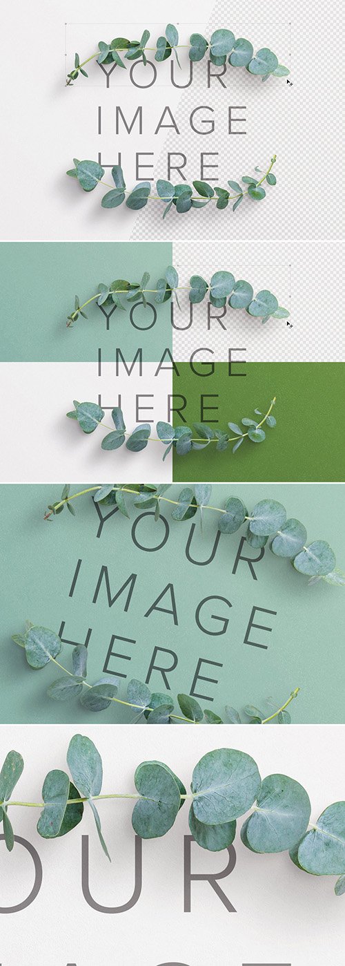 Eucalyptus Mockup Scene