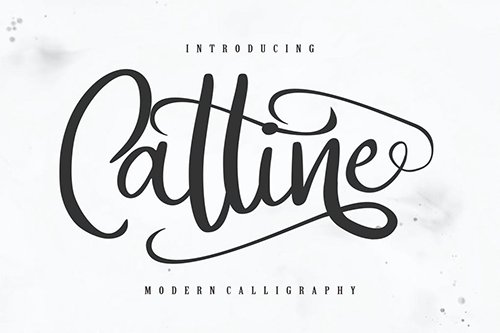 Catline | Modern Calligraphy Script