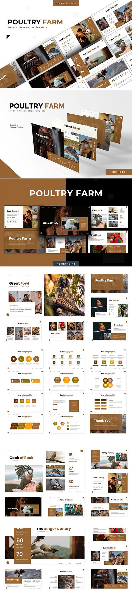 Poultry Farm - Powerpoint Template, Keynote and Google Slide Template