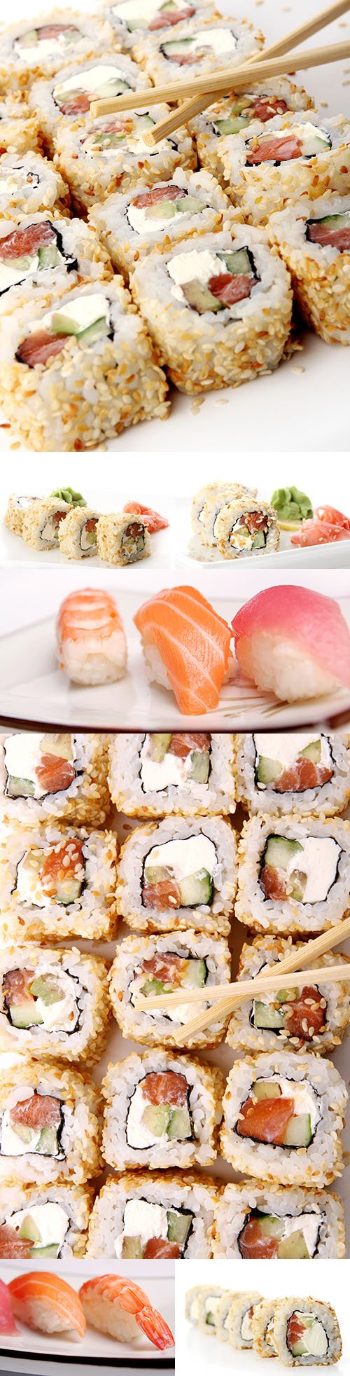 Fresh and delicious sushi rolls Japanese cuisine