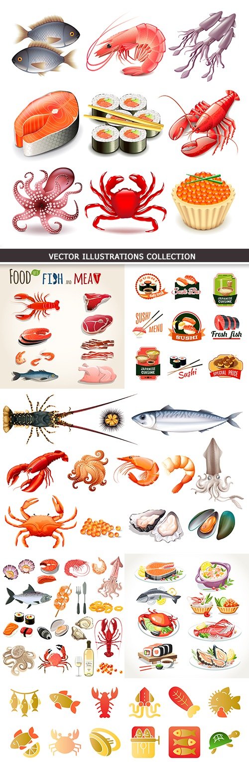 Seafood and sushi collection vector of illustrations