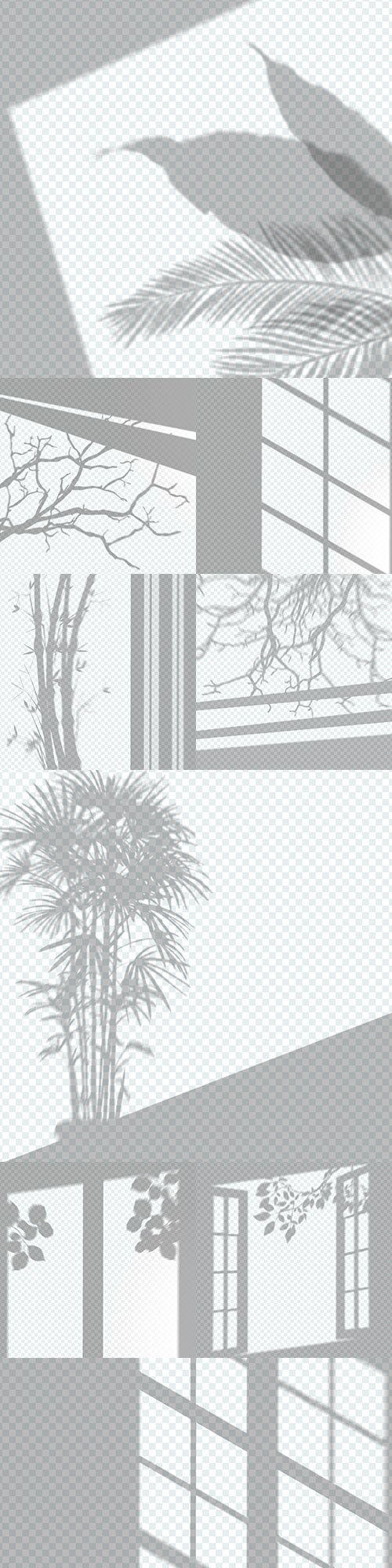 Effect applying transparent window shadows and trees