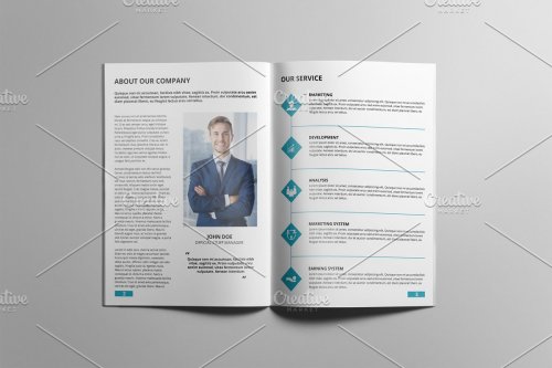 Business Brochure V838