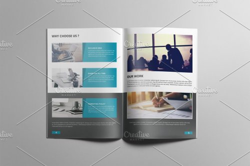 Business Brochure V838