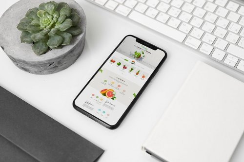 iPhone X Mock-Up's 2150117