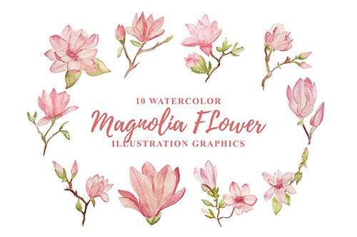 10 Watercolor Magnolia Flower Illustration Graphic