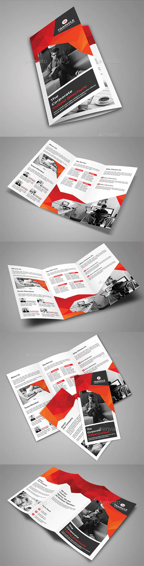 Trifold Brochure 21573089