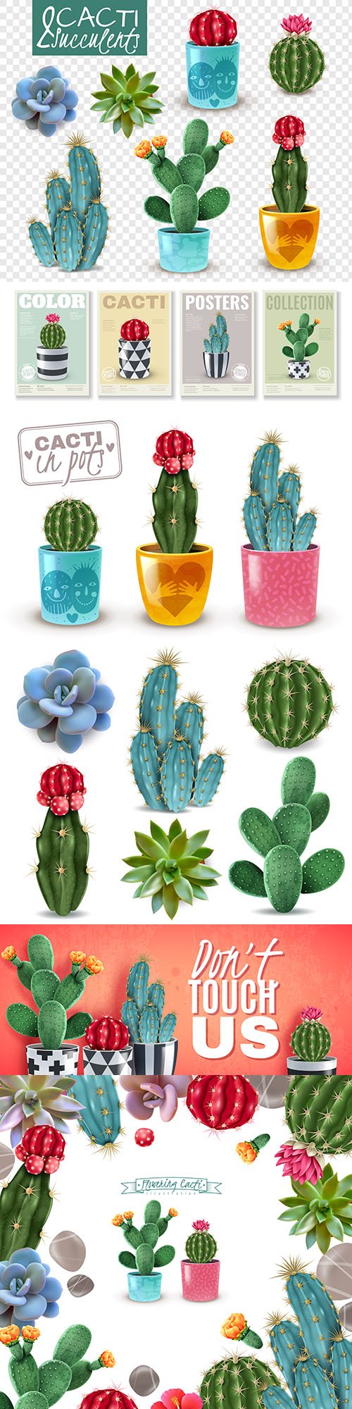 Flowering cactus room plants realistic illustrations