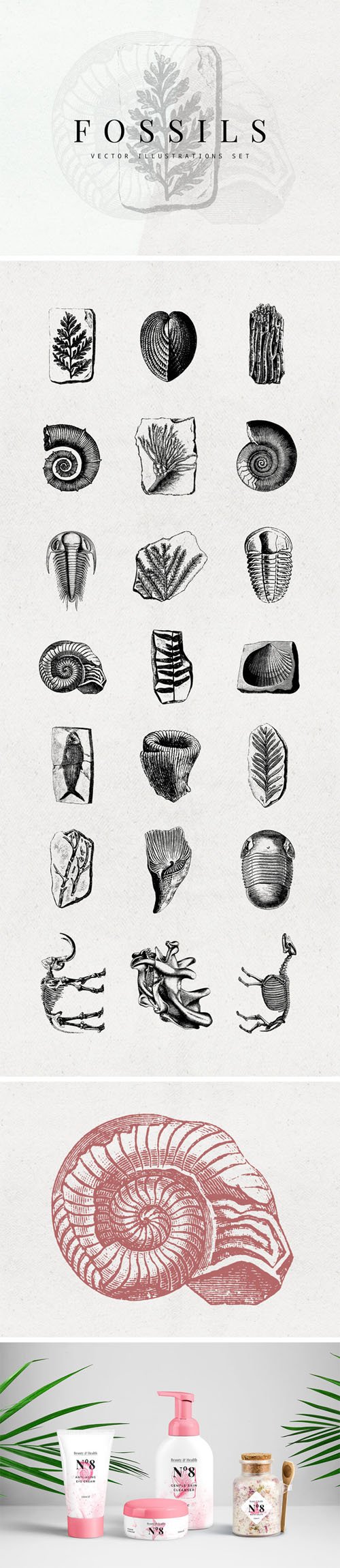 21 Fossils Vector Illustrations Set