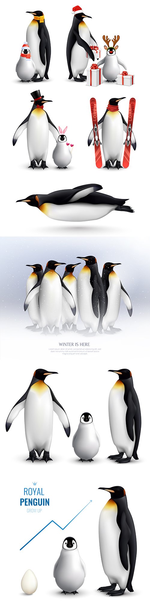 Royal penguin’s family with baby realistic illustrations